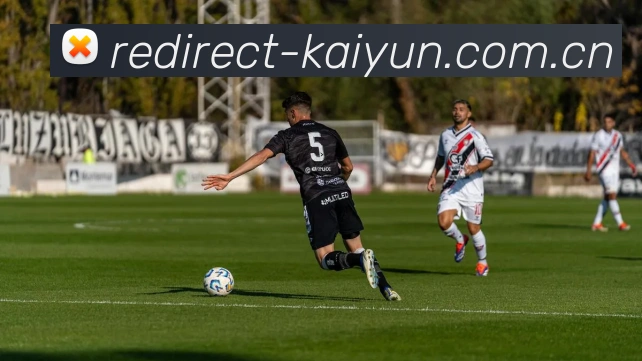 开云 (kaiyun.com)技术架构